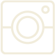 icone instagram